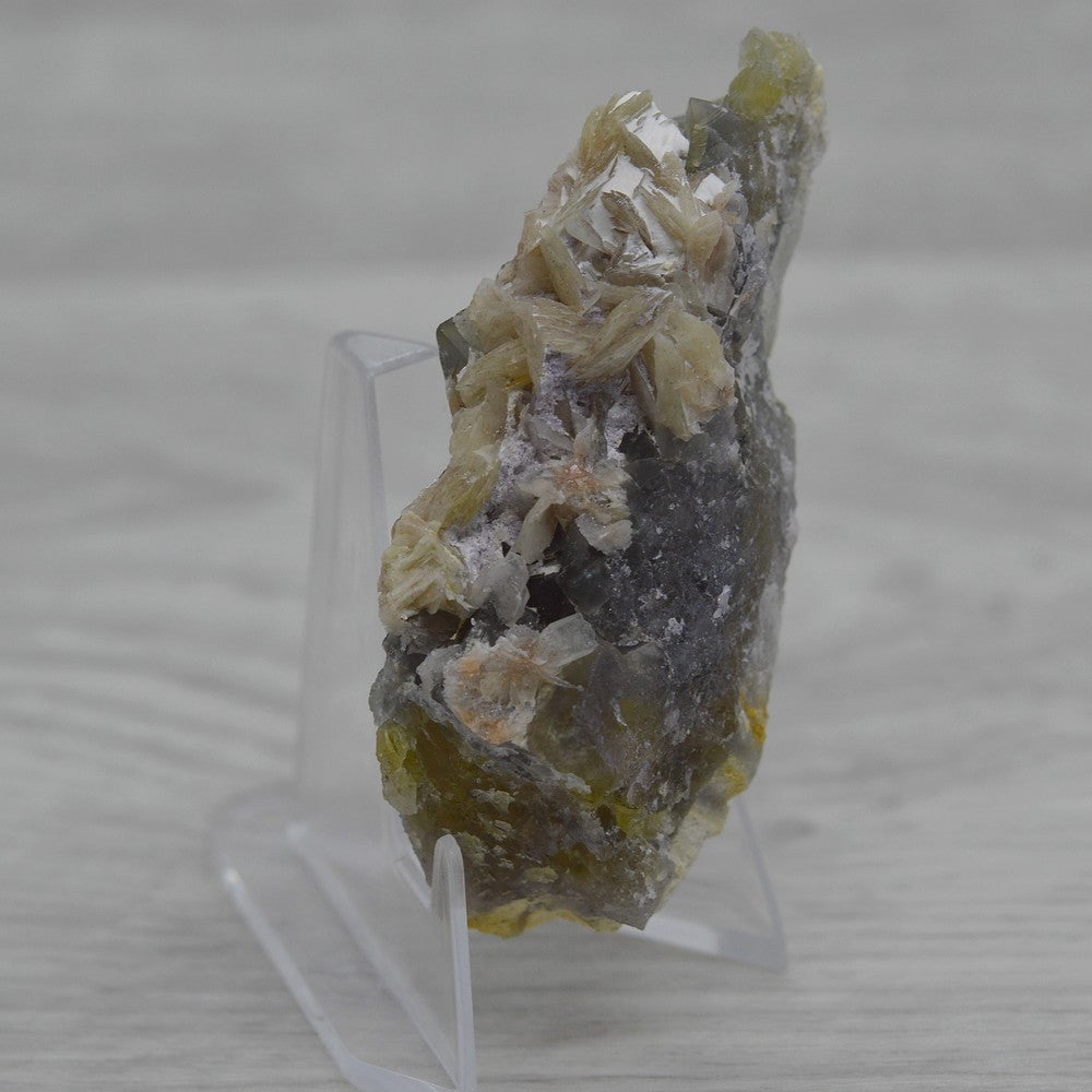Baryte sur fluorite jaune 76g sur présentoir