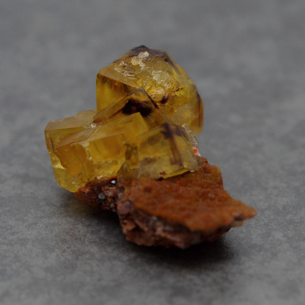 Cubes de fluorine jaune miel zonés prune sur gangue cristallisée marocaine 22g