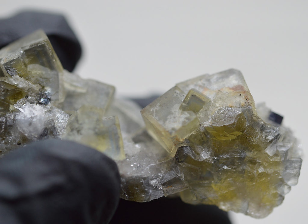 Cubes zonés bleus sur fluorite jaune marocaine de 28g
