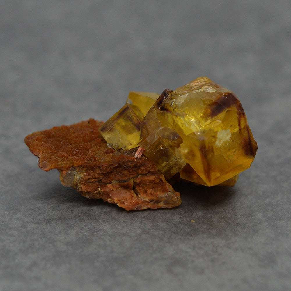 Fluorite jaune et cubes zonés prune sur gangue de microcristaux du Maroc 22g 