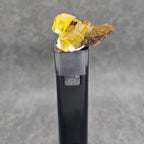 Fluorite jaune translucide à zonage violet prune et translucide sous lumière