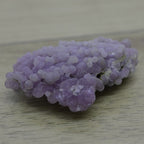 Grappes de raisin violets d'Indonésie 40g