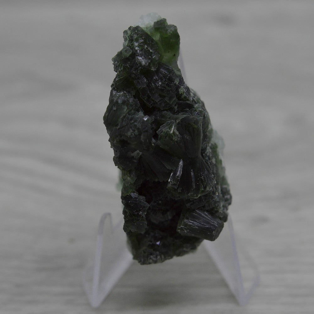 Prehnite brute vert sapin et vert clair en dessous sur présentoir