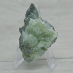 Prehnite brute verte nuancée cristallisée 28g sur présentoir